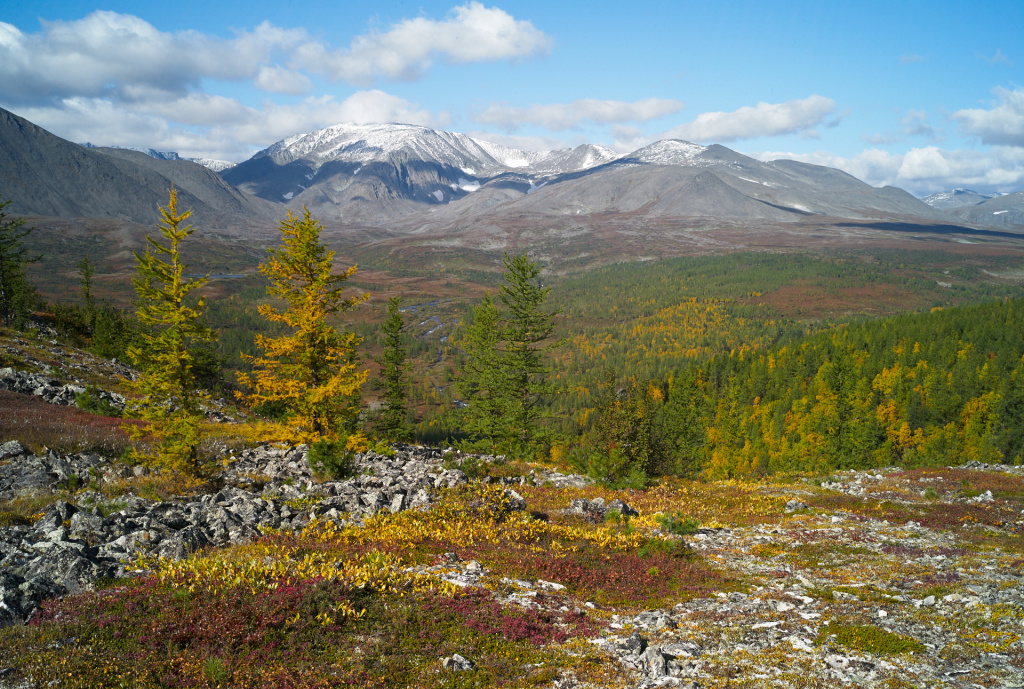 IMG_7535.JPG